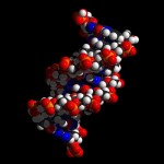 dna-1