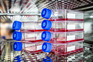 NASA’s Vascular Tissue Challenge to successfully create thick, metabolically-functional human vascularized organ tissue in a controlled laboratory environment.