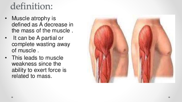 Ganancia muscular cetosis